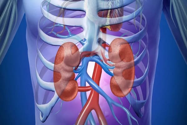 Acute Kidney Disease Treatment in Ayurveda