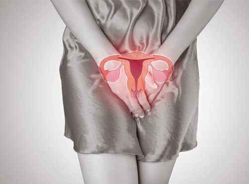 Ayurvedic Treatment for Endometriosis