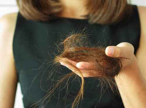 Ayurvedic Treatment for Hair Fall