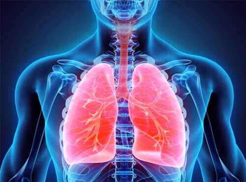 Ayurvedic Treatment for Lungs