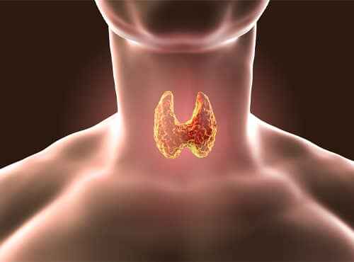 Ayurvedic Treatment of Thyroid