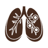 Bronchitis Treatment in Ayurveda