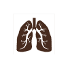Lungs Treatment in Ayurveda