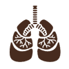 Sarcoidosis Treatment in Ayurveda