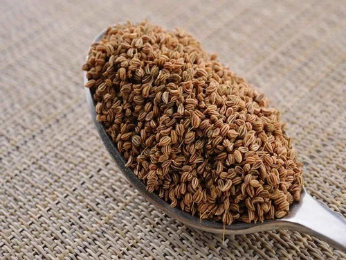 Ajwain for Pleurisy Treatment