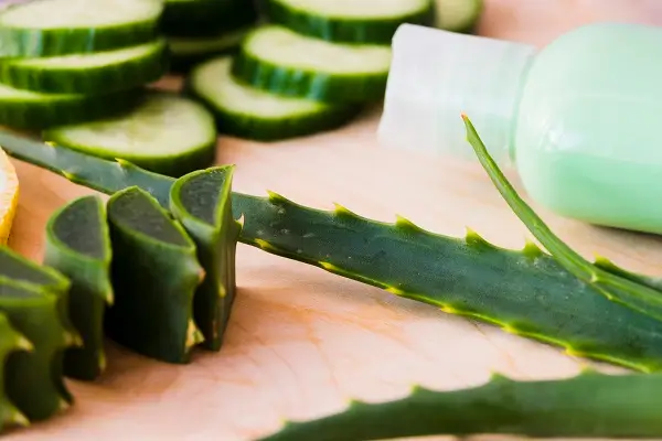 Aloe Vera - home remedies for dandruff