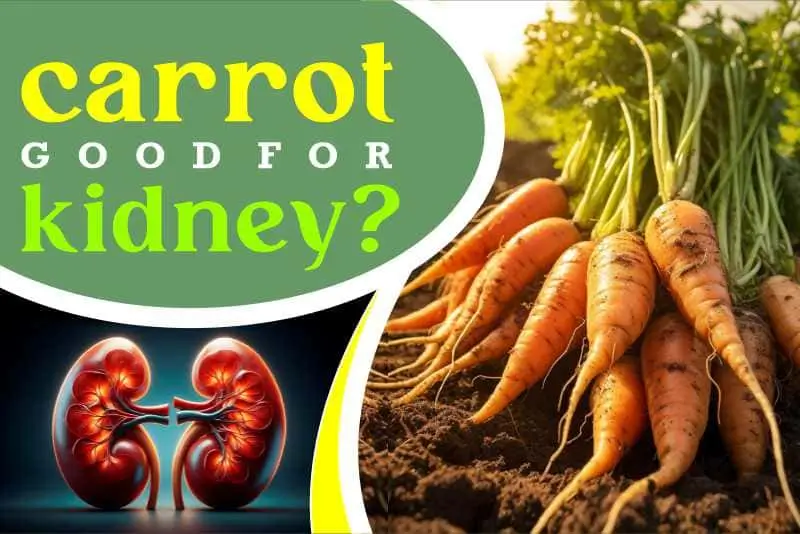 Carrot good for kidney