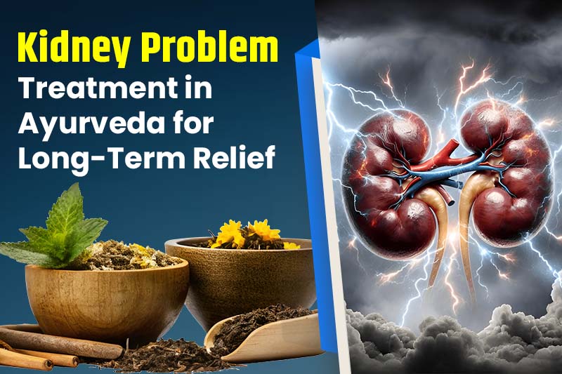 Kidney Problem Treatment in Ayurveda for Long-Term Relief