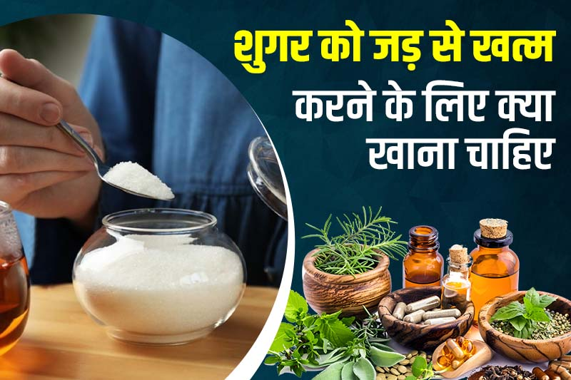 शुगर को जड़ से खत्म करने के लिए क्या क्या खाना चाहिए