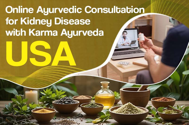 Online Ayurvedic Consultation for Kidney Disease with Karma Ayurveda USA