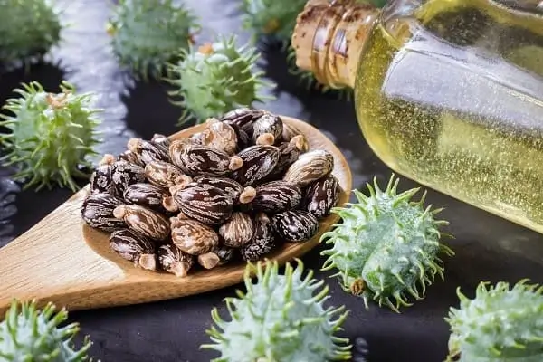 Castor Oil - Best Hair Oil for Hair Growth