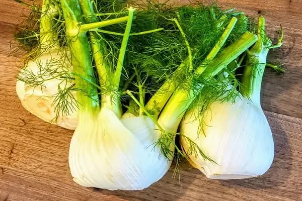 Fennel - How to improve digestion naturally