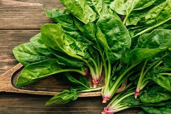 Green leafy - best food for diabetes control