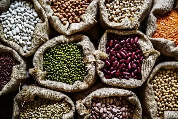 Legumes - best food for diabetes control