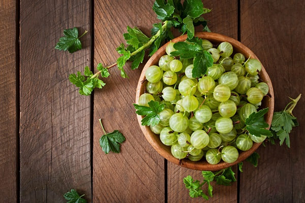 Indian Gooseberry - best food for diabetes control