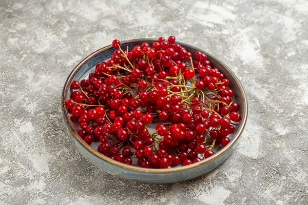 Cranberries - list of fruits to reduce creatinine level