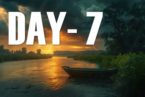 Day 7