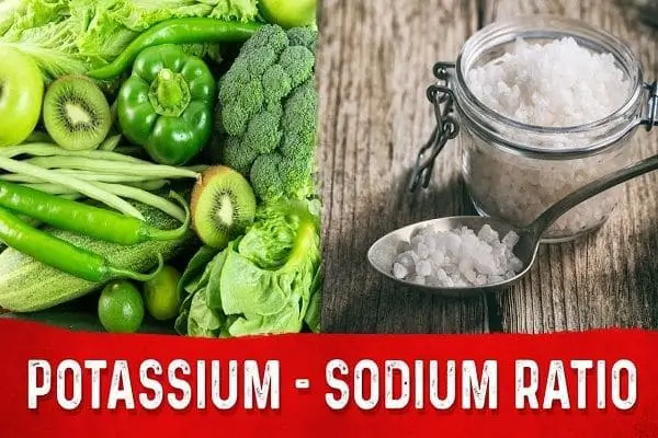 Limit Salt and Potassium Intake - How to lower creatinine levels