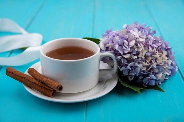 Hydrangea Tea - Best Juice for Kidney Detox