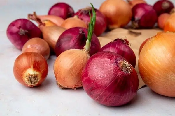 Onions - Vegetables to Reduce Creatinine Level