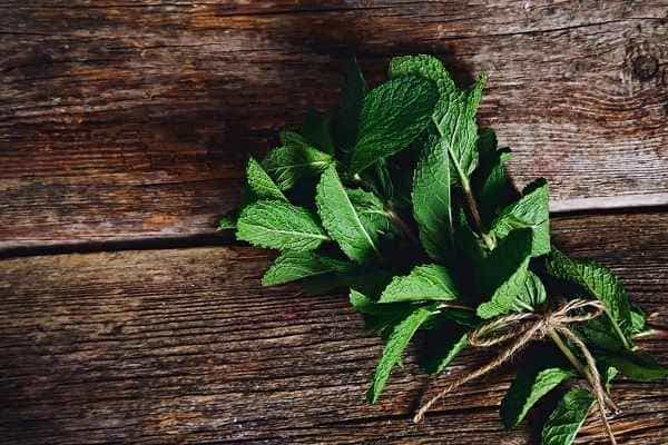 Mint leaves - ayurvedic medicine for acidity