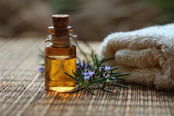 Eucalyptus and Camphor Oil - Ayurvedic Remedies for Joint Pain