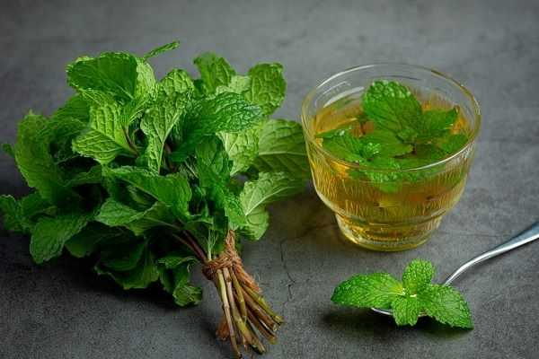 Peppermint - Indian Home Remedy For Bad Smelling Gas