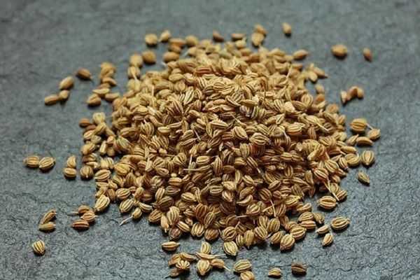 Ajwain - Indian Home Remedy For Bad Smelling Gas