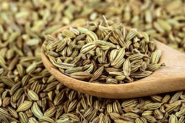 Fennel Seeds - Indian Home Remedy For Bad Smelling Gas