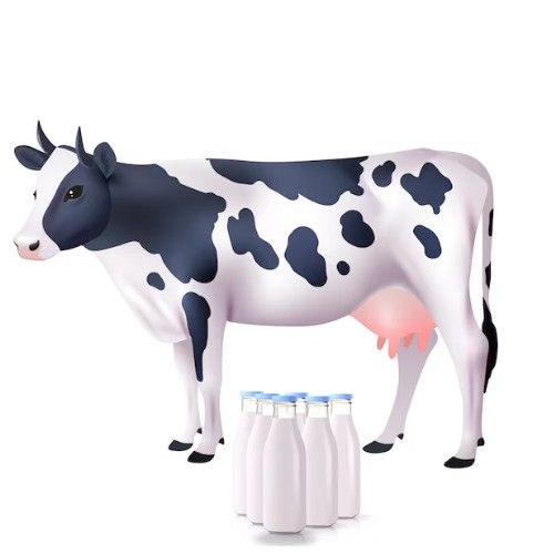 cow milk for kidney patients