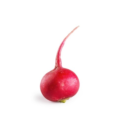 Radish 