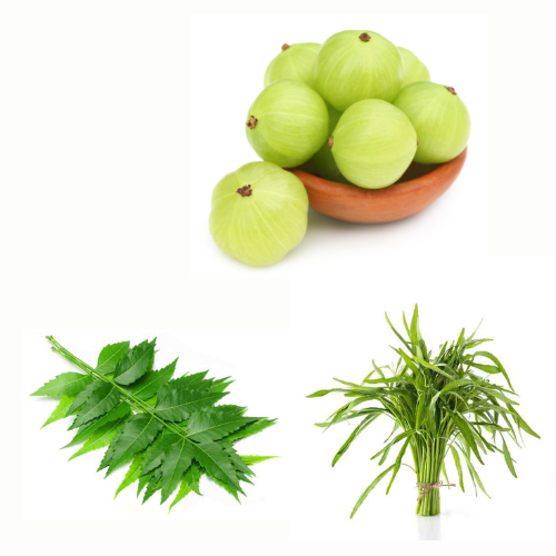 पुरानी लिकोरिया की दवा