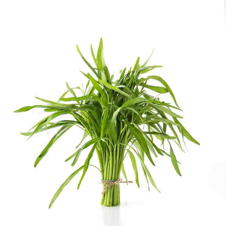 Waterhyssop (ब्राह्मी)