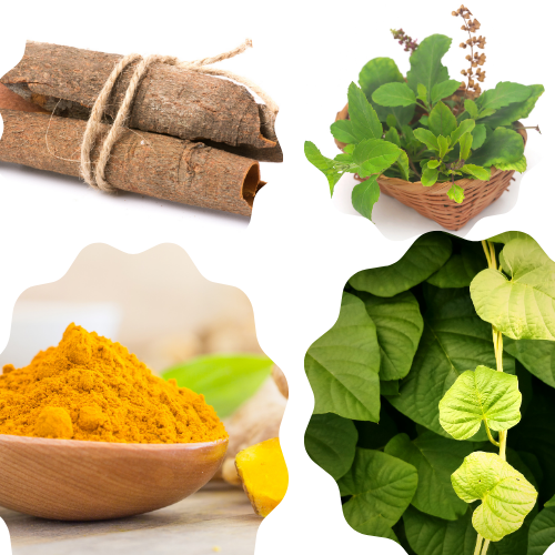 ब्लड कैंसर का सबसे अच्छा इलाज क्या है