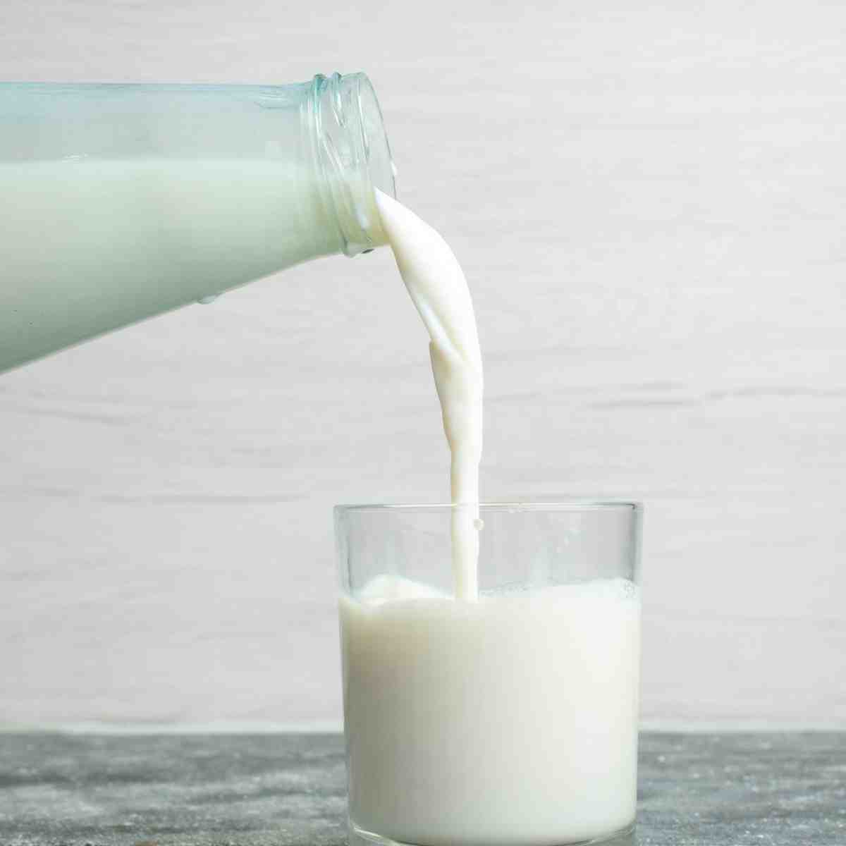 क्या किडनी पेशेंट दूध पी सकता है