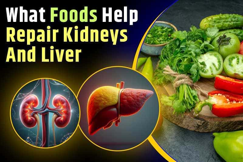 What Foods Help Repair Kidneys And Liver