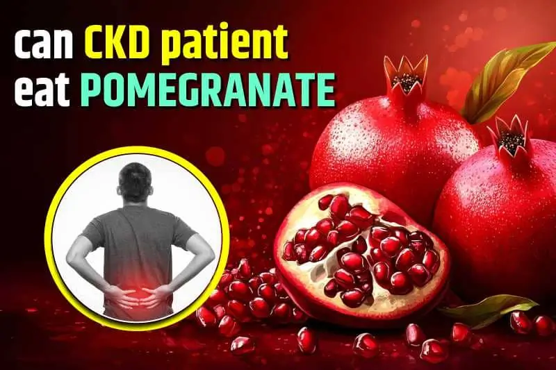 Can Ckd Patient Eat Pomegranate