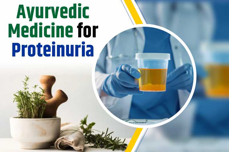 Ayurvedic Medicine For Proteinuria