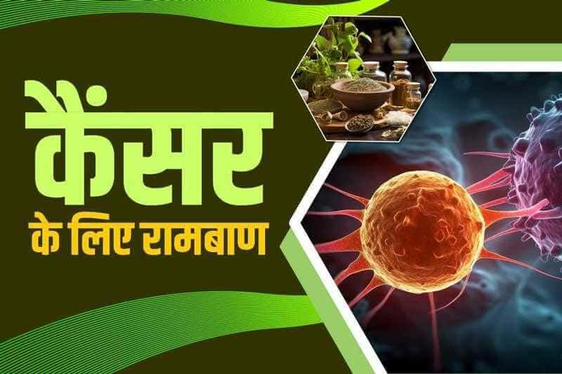 कैंसर के लिए रामबाण