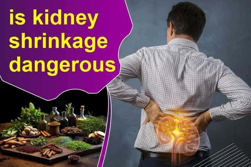 Is Kidney Shrinkage Dangerous?