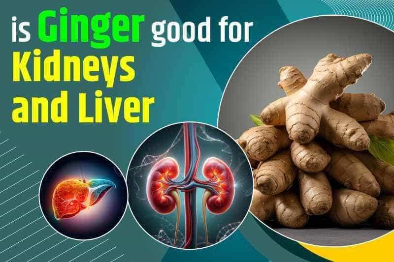 Is Ginger Good For Kidneys And Liver