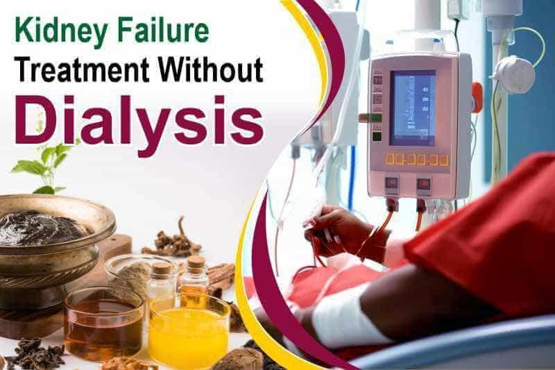 Kidney Failure Treatment Without Dialysis