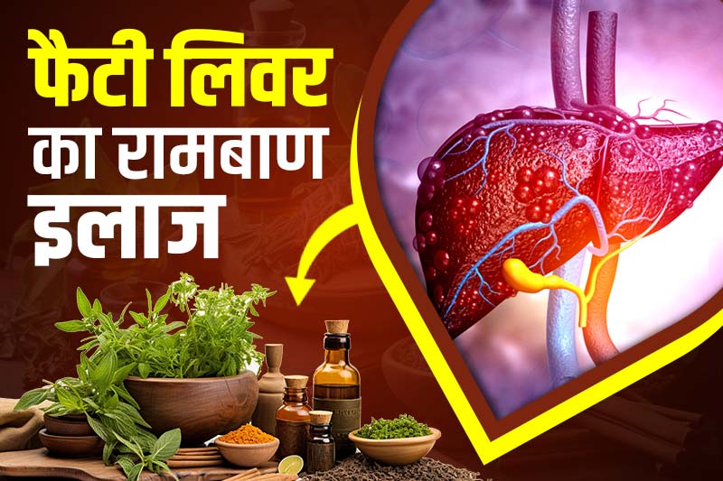 फैटी लिवर का रामबाण इलाज