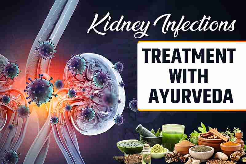 Kidney Infections Treatment with Ayurveda