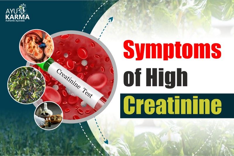 Symptoms of High Creatinine