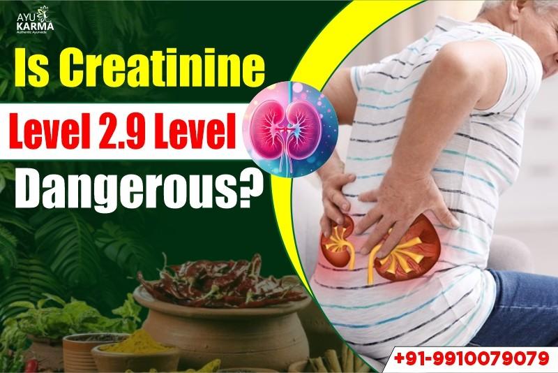 Is Creatinine Level 2.9 Level Dangerous?