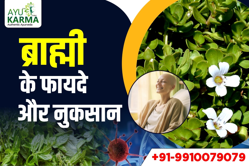 ब्राह्मी के फायदे और नुकसान