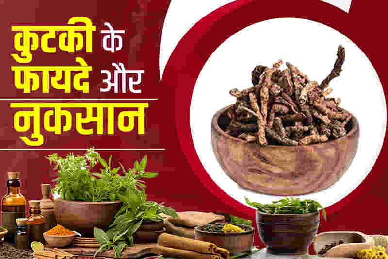 कुटकी के फायदे और नुकसान