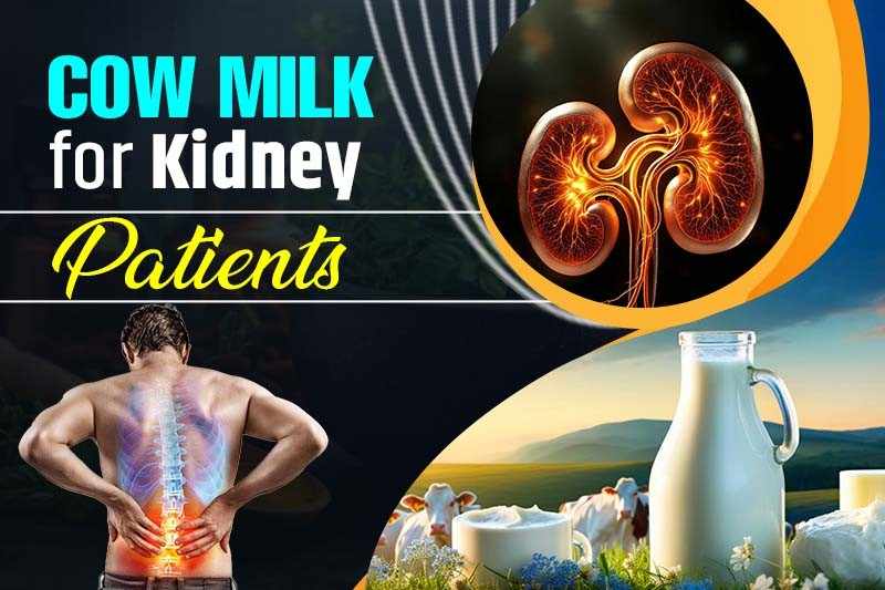 cow milk for kidney patients