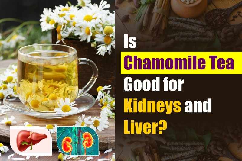 Is Chamomile Tea Good For Kidneys And Liver?